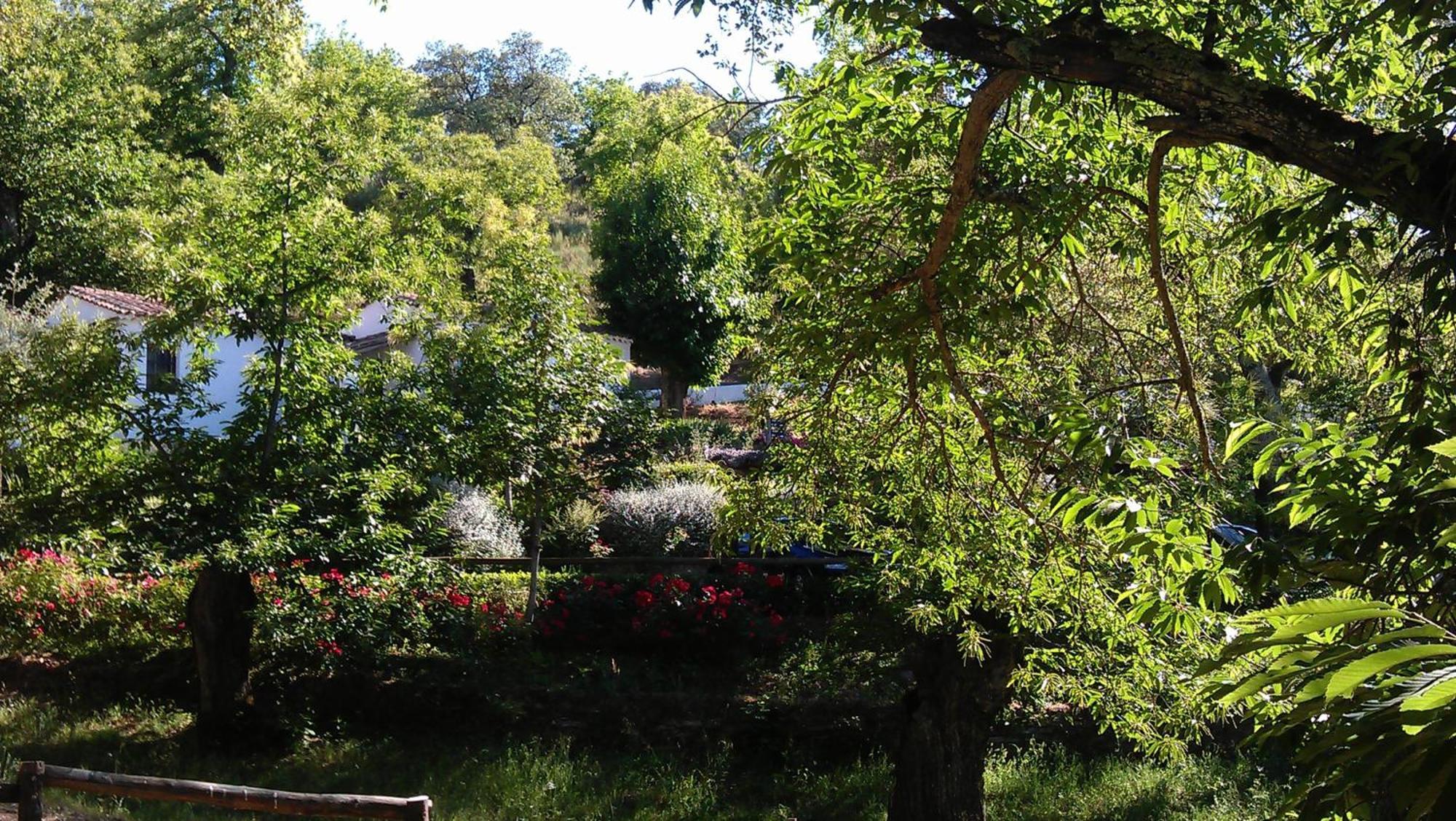 Finca Valbono Apartamentos Rurales Y Hotel Aracena Esterno foto